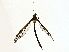  ( - BIOUG98717-E01)  @11 [ ] CreativeCommons - Attribution (2023) CBG Photography Group Centre for Biodiversity Genomics