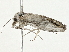  ( - BIOUG98718-E01)  @11 [ ] CreativeCommons - Attribution (2023) CBG Photography Group Centre for Biodiversity Genomics