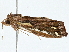  ( - BIOUG98718-E08)  @11 [ ] CreativeCommons - Attribution (2023) CBG Photography Group Centre for Biodiversity Genomics
