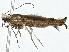  ( - BIOUG98718-H10)  @11 [ ] CreativeCommons - Attribution (2023) CBG Photography Group Centre for Biodiversity Genomics