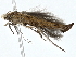  ( - BIOUG98719-E05)  @11 [ ] CreativeCommons - Attribution (2023) CBG Photography Group Centre for Biodiversity Genomics