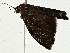  ( - BIOUG98719-G01)  @11 [ ] CreativeCommons - Attribution (2023) CBG Photography Group Centre for Biodiversity Genomics