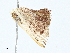  ( - BIOUG98720-G08)  @11 [ ] CreativeCommons - Attribution (2023) CBG Photography Group Centre for Biodiversity Genomics