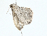  ( - BIOUG98720-H06)  @11 [ ] CreativeCommons - Attribution (2023) CBG Photography Group Centre for Biodiversity Genomics