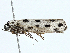  ( - BIOUG99533-D05)  @11 [ ] CreativeCommons - Attribution (2023) CBG Photography Group Centre for Biodiversity Genomics