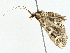  ( - BIOUG99538-C02)  @11 [ ] CreativeCommons - Attribution (2023) CBG Photography Group Centre for Biodiversity Genomics