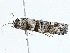  ( - BIOUG99539-E04)  @11 [ ] CreativeCommons - Attribution (2023) CBG Photography Group Centre for Biodiversity Genomics