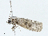  ( - BIOUG99539-F12)  @11 [ ] CreativeCommons - Attribution (2023) CBG Photography Group Centre for Biodiversity Genomics