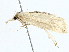 ( - BIOUG99540-C05)  @11 [ ] CreativeCommons - Attribution (2023) CBG Photography Group Centre for Biodiversity Genomics
