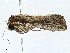  ( - CBG-A00267-E10)  @11 [ ] CreativeCommons - Attribution (2023) CBG Photography Group Centre for Biodiversity Genomics