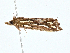  ( - CBG-A00269-B06)  @11 [ ] CreativeCommons - Attribution (2023) CBG Photography Group Centre for Biodiversity Genomics