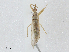  ( - CBG-A02909-D11)  @11 [ ] CreativeCommons - Attribution (2023) CBG Photography Group Centre for Biodiversity Genomics