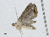  ( - CBG-A02909-F08)  @11 [ ] CreativeCommons - Attribution (2023) CBG Photography Group Centre for Biodiversity Genomics