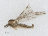  ( - CBG-A04546-F03)  @11 [ ] CreativeCommons - Attribution (2023) CBG Photography Group Centre for Biodiversity Genomics