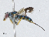  ( - CBG-A04547-F04)  @11 [ ] CreativeCommons - Attribution (2023) CBG Photography Group Centre for Biodiversity Genomics