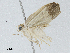  ( - CBG-A04547-F12)  @11 [ ] CreativeCommons - Attribution (2023) CBG Photography Group Centre for Biodiversity Genomics