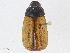  ( - CBG-A04548-E10)  @11 [ ] CreativeCommons - Attribution (2023) CBG Photography Group Centre for Biodiversity Genomics