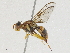  ( - CBG-A04550-E02)  @11 [ ] CreativeCommons - Attribution (2023) CBG Photography Group Centre for Biodiversity Genomics