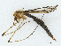 ( - CBG-A04551-H09)  @11 [ ] CreativeCommons - Attribution (2023) CBG Photography Group Centre for Biodiversity Genomics
