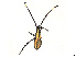  ( - CBG-A27627-E05)  @11 [ ] CreativeCommons - Attribution (2024) CBG Photography Group Centre for Biodiversity Genomics