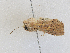  ( - CBG-A28403-C09)  @11 [ ] CreativeCommons - Attribution Share-Alike (2024) CBG Photography Group Centre for Biodiversity Genomics