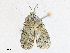  ( - CBG-A28403-H05)  @11 [ ] CreativeCommons - Attribution Share-Alike (2024) CBG Photography Group Centre for Biodiversity Genomics