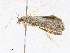 ( - CBG-A28440-H09)  @11 [ ] CreativeCommons - Attribution Share-Alike (2024) CBG Photography Group Centre for Biodiversity Genomics