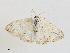  ( - CBG-A28444-A08)  @11 [ ] CreativeCommons - Attribution Share-Alike (2024) CBG Photography Group Centre for Biodiversity Genomics