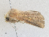  ( - CBG-A28461-D11)  @11 [ ] CreativeCommons - Attribution Share-Alike (2024) CBG Photography Group Centre for Biodiversity Genomics
