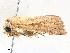  ( - CBG-A28465-E12)  @11 [ ] CreativeCommons - Attribution Share-Alike (2024) CBG Photography Group Centre for Biodiversity Genomics