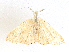  (Pixera - CBG-A28465-F07)  @11 [ ] CreativeCommons - Attribution Share-Alike (2024) CBG Photography Group Centre for Biodiversity Genomics