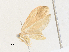  ( - CBG-A27628-C01)  @11 [ ] CreativeCommons - Attribution Share-Alike (2024) CBG Photography Group Centre for Biodiversity Genomics