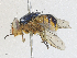  ( - CBG-A28466-E05)  @11 [ ] CreativeCommons - Attribution Share-Alike (2024) CBG Photography Group Centre for Biodiversity Genomics