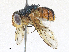 ( - CBG-A28468-A11)  @11 [ ] CreativeCommons - Attribution Share-Alike (2024) CBG Photography Group Centre for Biodiversity Genomics