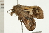  ( - 08-NSWHH-0404)  @12 [ ] CreativeCommons - Attribution (2009) Unspecified Centre for Biodiversity Genomics