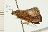  ( - 08-NSWHH-0408)  @12 [ ] CreativeCommons - Attribution (2009) Unspecified Centre for Biodiversity Genomics