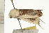  ( - 08-NSWHH-0527)  @15 [ ] CreativeCommons - Attribution (2009) Unspecified Centre for Biodiversity Genomics