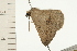  ( - 08-NSWHH-0543)  @12 [ ] CreativeCommons - Attribution (2009) Unspecified Centre for Biodiversity Genomics