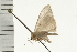  ( - 08-NSWHH-0600)  @13 [ ] CreativeCommons - Attribution (2009) Unspecified Centre for Biodiversity Genomics