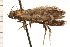  ( - 08-NSWHH-0618)  @14 [ ] CreativeCommons - Attribution (2009) Unspecified Centre for Biodiversity Genomics