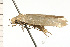  ( - 08-NSWHH-0664)  @12 [ ] CreativeCommons - Attribution (2009) Unspecified Centre for Biodiversity Genomics