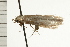  ( - 08-NSWHH-0701)  @12 [ ] CreativeCommons - Attribution (2009) Unspecified Centre for Biodiversity Genomics