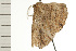  ( - 08-NSWHH-0751)  @13 [ ] CreativeCommons - Attribution (2009) Unspecified Centre for Biodiversity Genomics