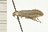  ( - 08-NSWHH-0773)  @12 [ ] CreativeCommons - Attribution (2009) Unspecified Centre for Biodiversity Genomics
