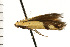  ( - 08-NSWHH-0801)  @13 [ ] CreativeCommons - Attribution (2009) Unspecified Centre for Biodiversity Genomics