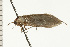  ( - 08-NSWHH-0822)  @12 [ ] CreativeCommons - Attribution (2009) Unspecified Centre for Biodiversity Genomics