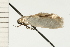  ( - 08-NSWHH-0836)  @12 [ ] CreativeCommons - Attribution (2009) Unspecified Centre for Biodiversity Genomics