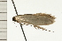  ( - 08-NSWHH-0851)  @12 [ ] CreativeCommons - Attribution (2009) Unspecified Centre for Biodiversity Genomics
