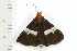  ( - 08-NSWHH-0063)  @12 [ ] CreativeCommons - Attribution (2009) Unspecified Centre for Biodiversity Genomics