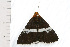  ( - 08-NSWHH-0064)  @12 [ ] CreativeCommons - Attribution (2009) Unspecified Centre for Biodiversity Genomics